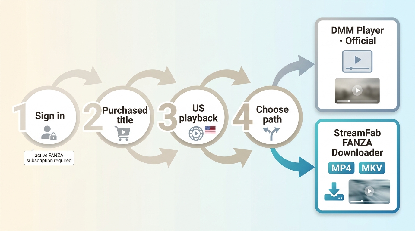 FANZA access flow from purchased-title playback to official viewing or MP4/MKV files