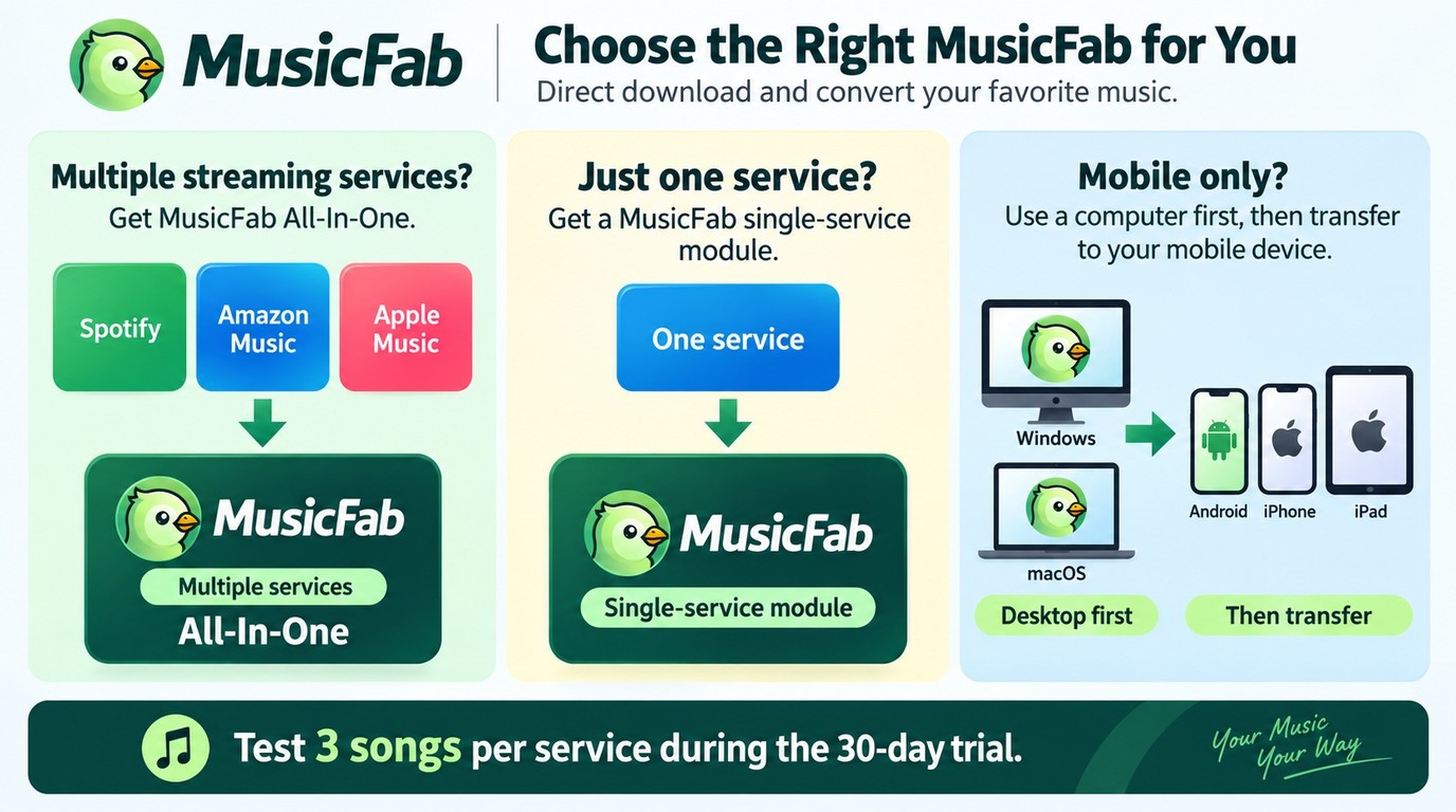 Choose MusicFab All-In-One for multiple services or a single-service module for one platform.