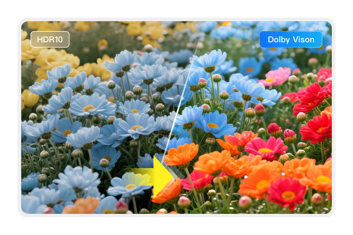 HDR10 auf Dolby Vision upgraden