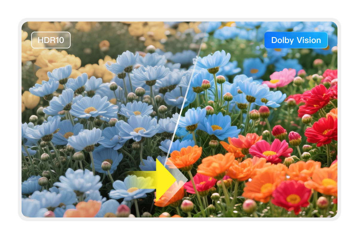 upgrade HDR10 to Dolby Vision