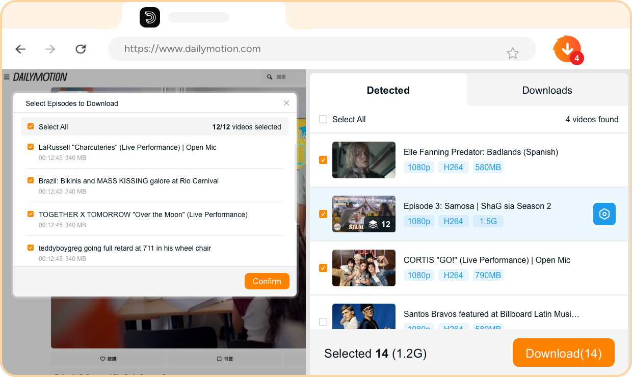 streamfab for browser 步驟 4