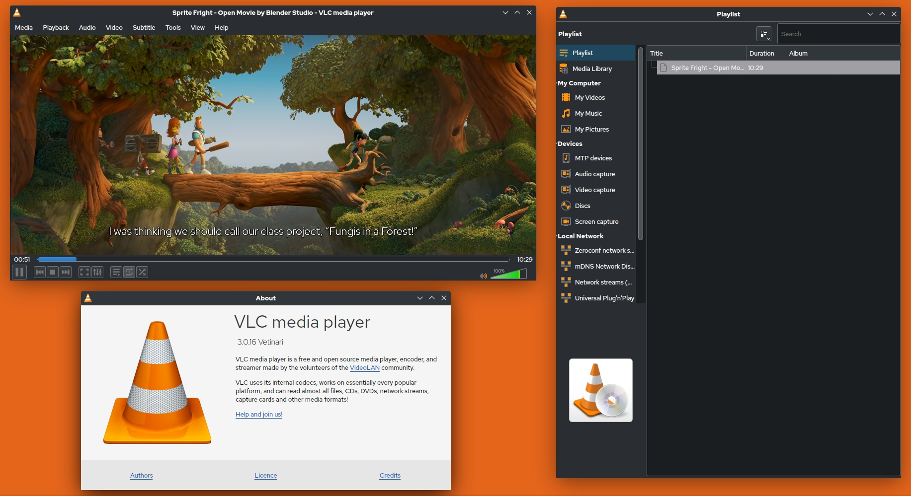 How to Play AVI Files with VLC