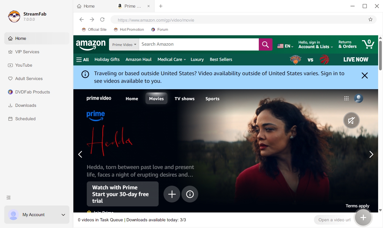 streaming video downloader