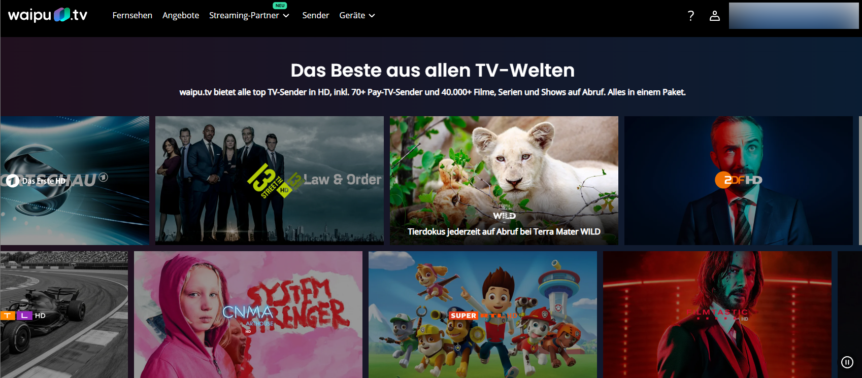 Was ist Waipu TV?