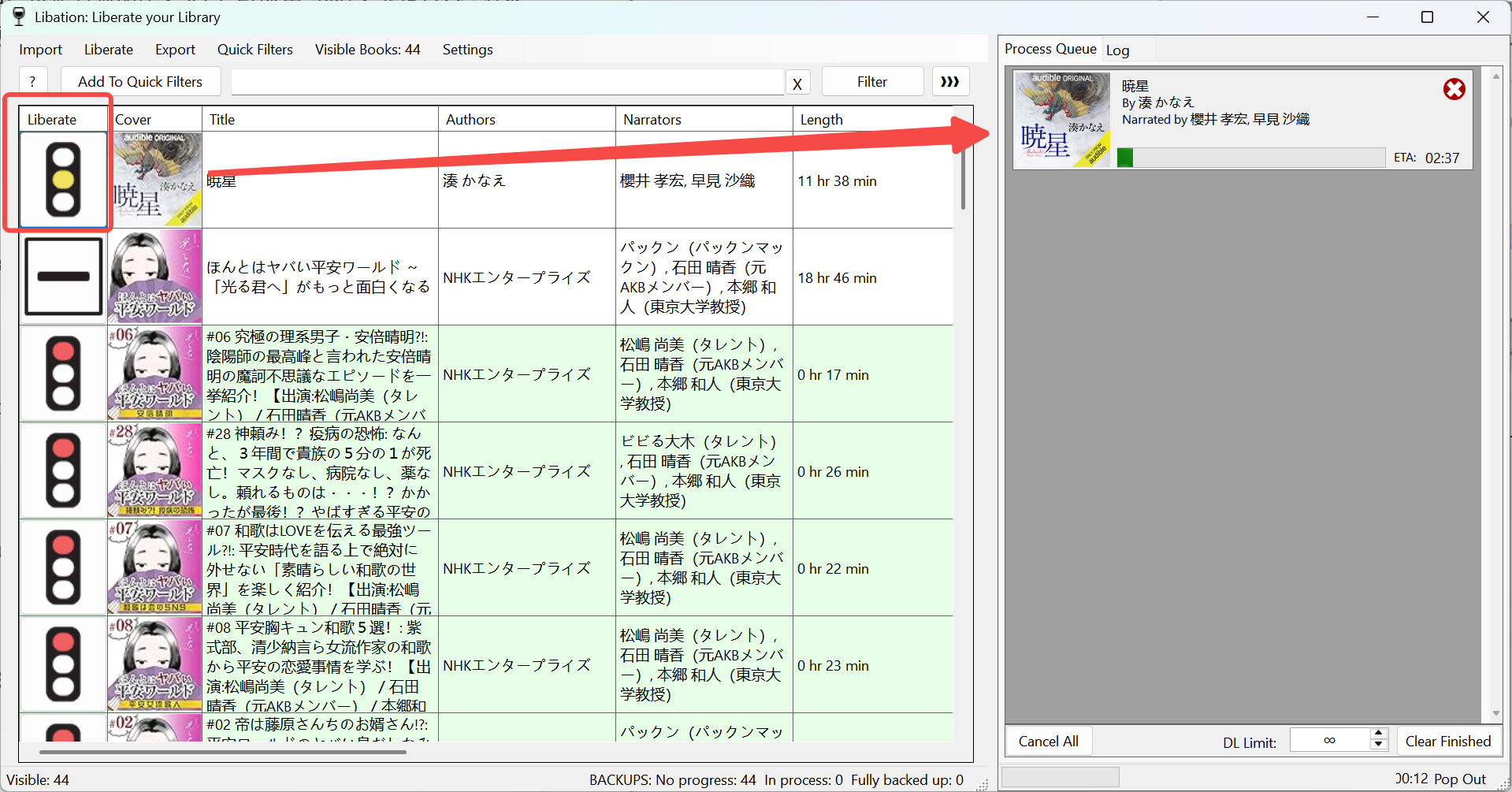 how to remove audible drm with libation