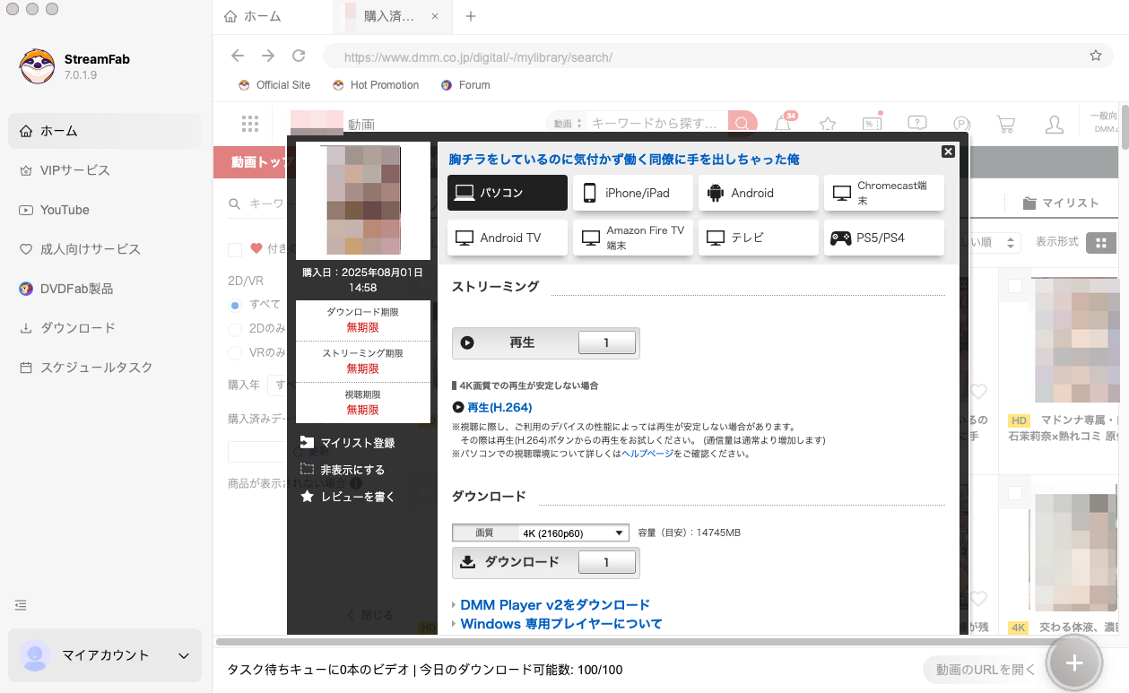 StreamFabで動画再生中にURLを解析する画面