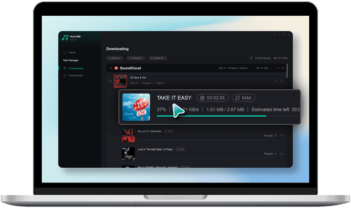 Wählen Sie das Ausgabeformat und starten Sie den Download