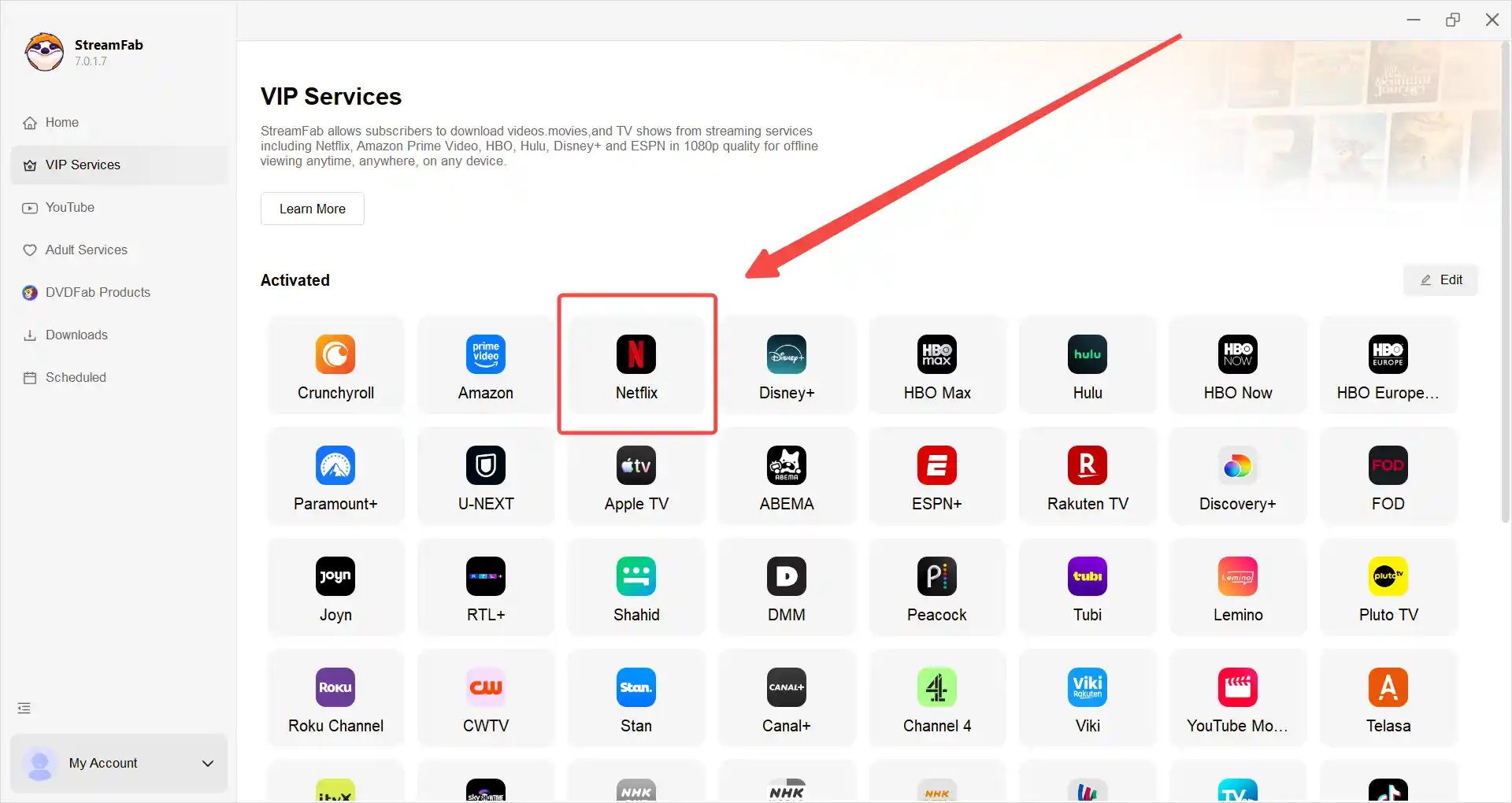find the netflix module in vip services