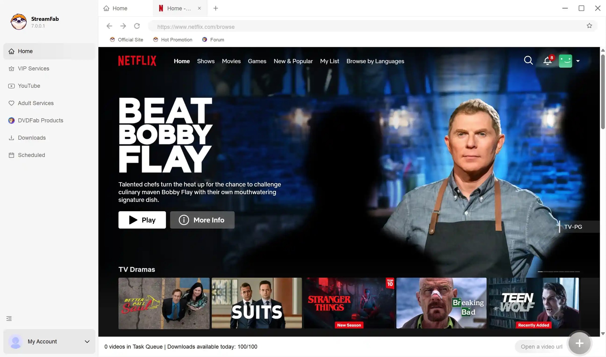 log in netflix within the streamfab built-in browser