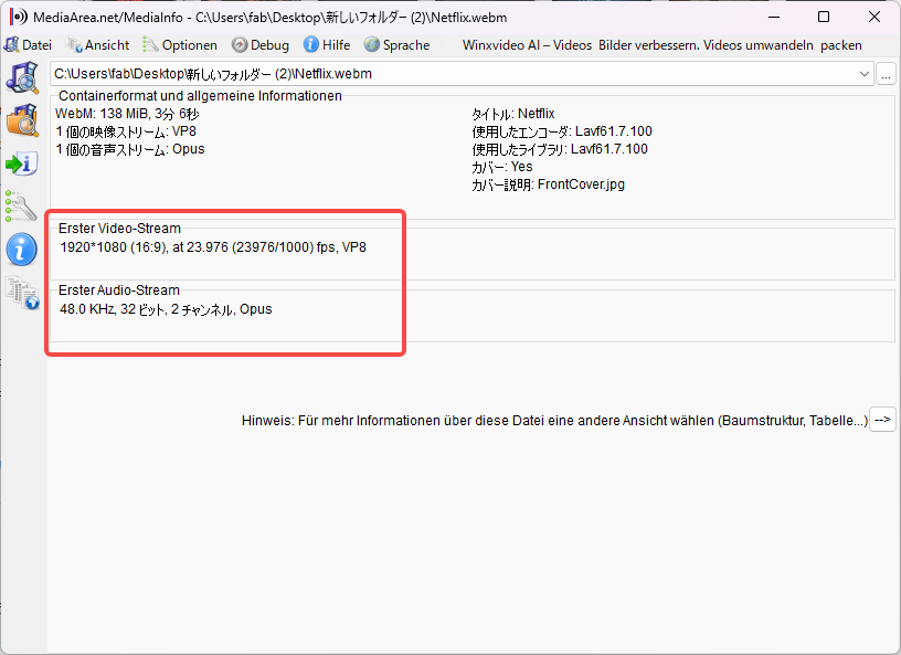 MediaInfo zeigt die aufgenommene Audials-Datei: WebM 138 MiB, 3 Minuten 6 Sekunden, Video VP8 1920×1080 23,976fps, Audio Opus 2-Kanal 48kHz
