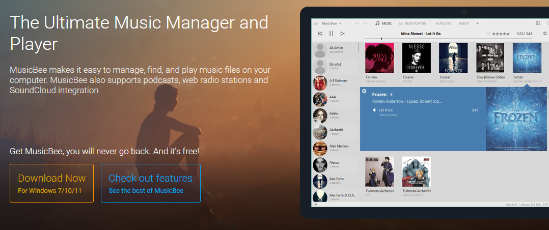 MusicBee Flac Music Player