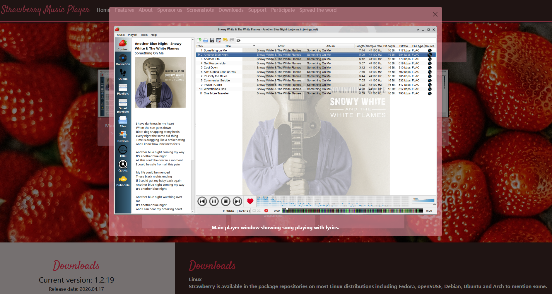 Strawberry Music Player