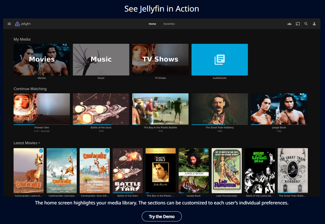 Jellyfin Media Server Software